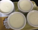 水切りヨーグルトみるくゼリー作り方5写真