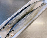 さんまの塩焼き！美味しく食べよう。作り方1写真