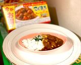 レンチンで簡単！5分で作るズボラカレー作り方11写真