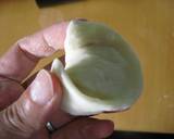 みんな大好き❤お家でプリプリ♪えび餃子作り方11写真