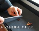 夏に食べたい！アサリとトマトの冷製素麺作り方2写真