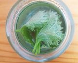 簡単♪生き生き大葉の保存方法♪作り方1写真