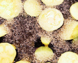 ナスの揚げ浸し　さっぱり中華風作り方4写真