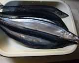 ☆漁師直伝☆さんまのおろし方。と、たたき作り方1写真