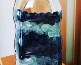 ブルーベリー酒作り方4写真