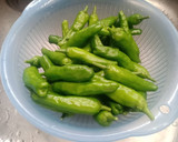 辛そうで辛くない　ししとうでタバスコ風作り方1写真