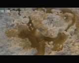プチパン作り方2写真