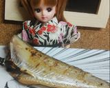 リカちゃん♡ハタハタのナンプラー漬け焼き作り方14写真