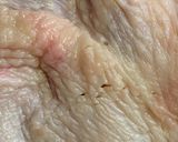 鶏肉の山賊焼き　作り方1写真