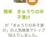 簡単　きゅうりの辛子漬け作り方3写真
