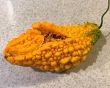 黄色いゴーヤのサラダ作り方1写真