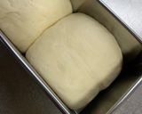 わんこ用豆乳パン作り方8写真