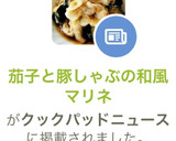 茄子と豚しゃぶのおろし和風マリネ作り方8写真