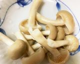 レンジ胸肉なすピリ辛生姜焼き風青椒肉絲風作り方4写真