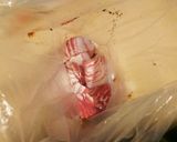 お弁当★焼肉★旨辛豚バラの韓国ヤンニョム作り方3写真
