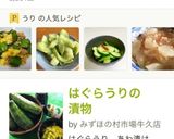 ★袋で簡単！うりの浅漬け作り方6写真