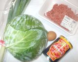 豆腐ロールキャベツで胃腸に優しい♪簡単作り方1写真