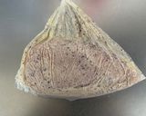 覚書: ゆかりマヨ鶏ハム作り方3写真