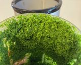 青柚子だけ！の保存版作り方8写真