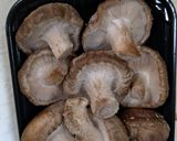 卯の花で作った肉なし餃子作り方5写真