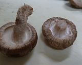 卯の花で作った肉なし餃子作り方6写真