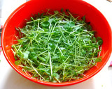 軽い食感が旨い！豆苗と小海老のかき揚げ作り方2写真