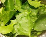 オカワカメと豚バラの冷しゃぶ作り方1写真