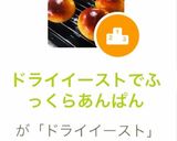 ドライイーストでふっくらあんぱん作り方20写真