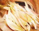 簡単　めんまみょうが作り方2写真