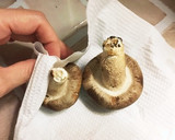 長持ちのコツ☆しいたけの冷蔵庫保存作り方1写真