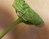 簡単！ほうれん草餃子！巻くだけ餃子作り方6写真