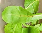 毎日の納豆●鶏皮揚げとあわせ、おつまみ風作り方2写真