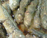 丸ごと食べよう豆あじの南蛮漬け作り方12写真