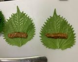 東北郷土料理！甘味噌餡のしそ巻き作り方9写真