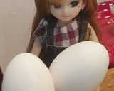 リカちゃん♡他人丼。.:✤*゜作り方12写真