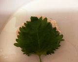 ふわっとろ♡のびーるお豆腐チーズつくね作り方4写真