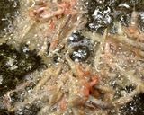 余りもの消費！きんぴらごぼうのかき揚げ作り方4写真