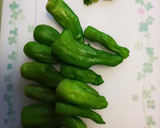 もう1品！焼肉のたれししとう炒め作り方1写真