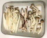 きのこソースで味わう！白身魚のムニエル作り方1写真