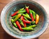 美味しい青唐辛子の塩漬け　（少量）作り方14写真