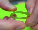 松茸なしで！【松茸土瓶蒸し】？作り方12写真