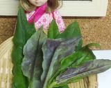 リカちゃん♡金時草の天麩羅☆*｡作り方1写真