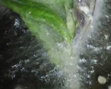 リカちゃん♡金時草の天麩羅☆*｡作り方4写真