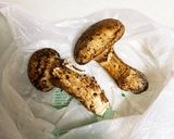 松茸の土鍋蒸し♡作り方1写真