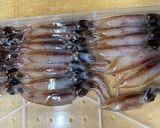 生ホタルイカ　ホクホク　釜揚げ作り方1写真