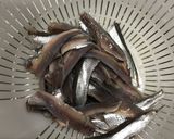 カタクチイワシ　シコイワシ　酢漬け作り方5写真