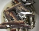 カタクチイワシ　シコイワシ　酢漬け作り方6写真