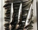 カタクチイワシ　から揚げ作り方5写真