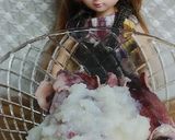 リカちゃん♡イカとめんつゆ生姜おろし作り方5写真