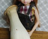 リカちゃん♡イカ茹で汁でイカ汁作り方4写真
